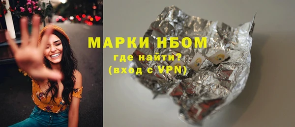 мдпв Ладушкин