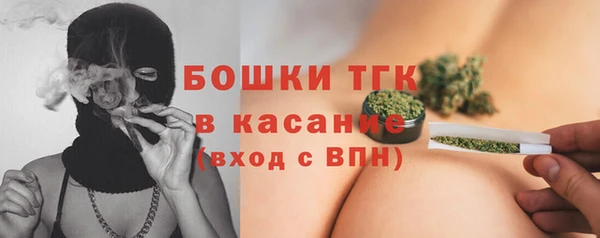 мдпв Ладушкин
