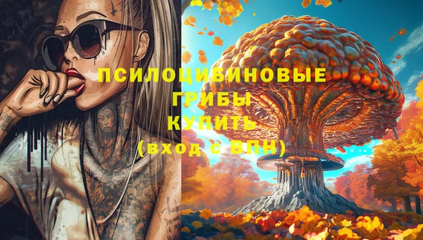 гидра Лагань