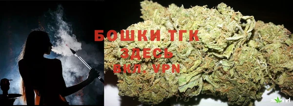 гидра Лагань