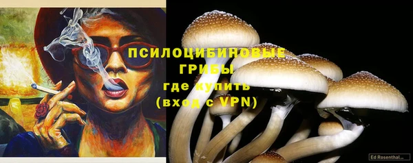 дживик Кулебаки