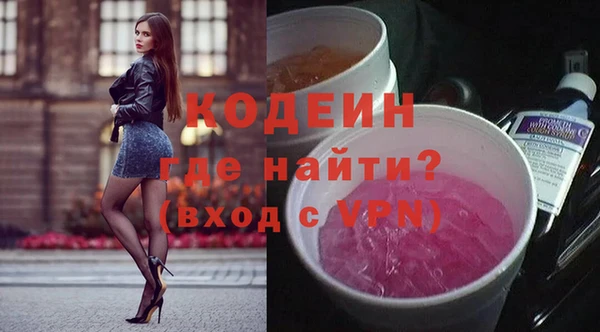 мдпв Ладушкин